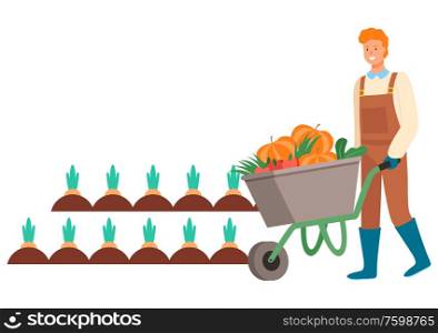 Farmer with harvested veggies vector, man pushing metal carriage loaded with pumpkins, transportation of vegetables from plantation, flat style character. Man Farming on Field, Plantation of Carrots Vector