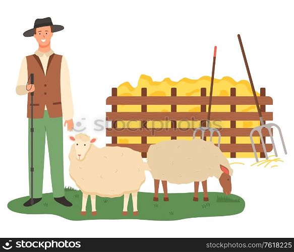Farmer with sheep vector, male caring for animals flat style. Wooden fence with dried glass straw and hay with tools, instrument hayfork harvesting. Agriculture Man Farming, Sheep Farm Farmer Vector