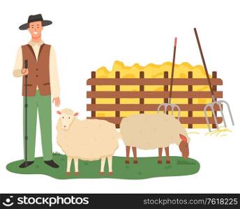 Farmer with sheep vector, male caring for animals flat style. Wooden fence with dried glass straw and hay with tools, instrument hayfork harvesting. Agriculture Man Farming, Sheep Farm Farmer Vector
