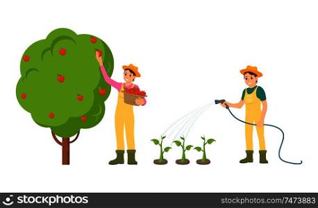 Farmer woman with basket isolated icons set vector. Food plantation vegetables and fruits, watering plants. Gardening and harvesting summer season. Farmer Woman with Basket Vector Illustration