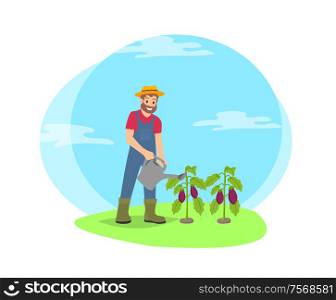 Farmer working in garden waters vegetables vector cartoon icon. Smiling bearded man in uniform, hat and boots with watering can pouring eggplant shrub. Farmer Watering Plants in Garden Cartoon Icon