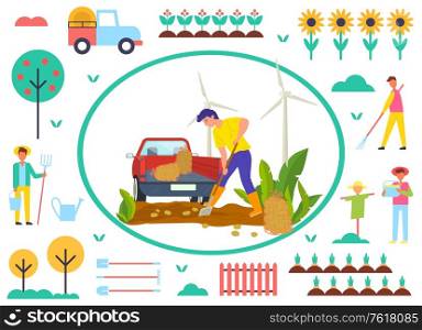 Farmer working on potato field vector, man using shovel and tractor to transport vegetables. Scarecrow and tree, car and sunflowers, fence and carrots on farm. Farming Man on Potato Field, Farmer Character