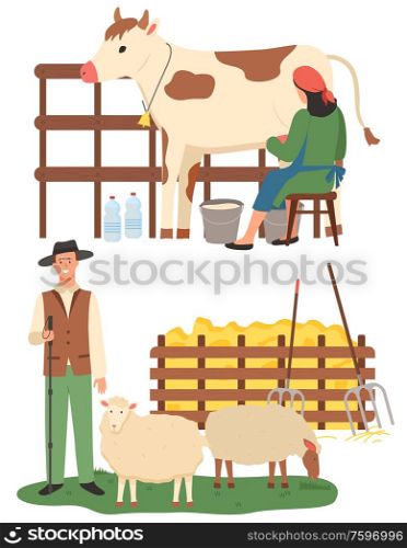 Farmers caring for animals vector, sheep and cow farm flat style. People with cattle, production of milk and organic food and ingredients, countryside. Farming People, Woman with Cow and Man with Sheep