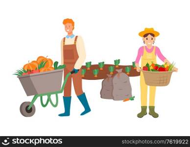 Farmers with fruits and vegetable vector, plantation of carrots and pumpkin, pepper and tomato in woven basket farming people man woman working together. Farming People Man and Woman Harvesting Season
