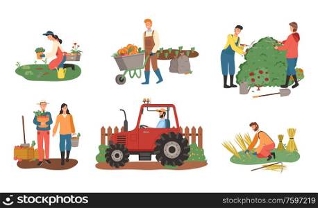 Farmers working on field vector, man and woman harvesting, lady planting, harvest of wheat flat style. Agricultural workers. Bushes cutting carriage loaded with pumpkin. Farming People, Tractor and Gardening Farmers