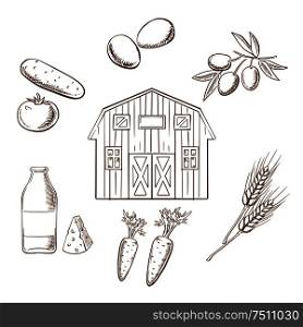 Farming and agriculture sketch design showing various crop arranged in a circle around a barn. Tomato, olives, wheat, carrots, eggs and dairy products vector sketches. Farming and agriculture sketched icons