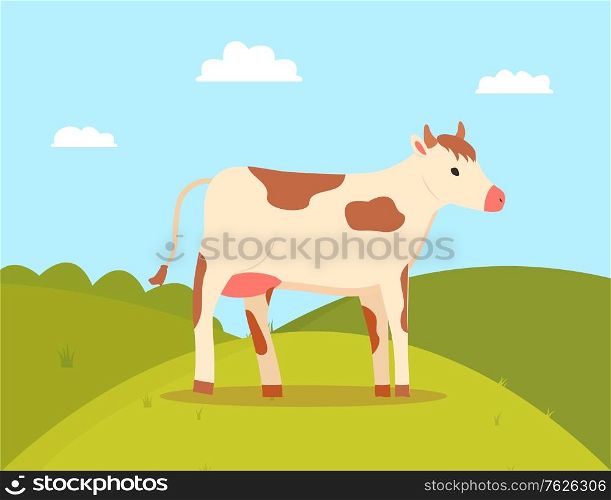 Farming and agriculture vector, cow on pasture green grass and hills, meadow with food for animal, ranch and breeding of cattle, character on nature. Flat cartoon. Cow Walking on Field, Farming Animal Cattle Vector