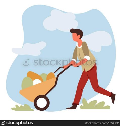 Farming and gardening man farmer with vegetable harvest in wheelbarrow vector male character garden equipment cart and organic farm food growing and cultivation countryside nature agriculture. Man farmer with vegetable harvest in wheelbarrow farming and gardening