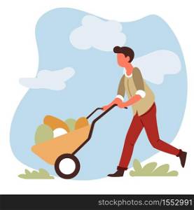 Farming and gardening man farmer with vegetable harvest in wheelbarrow vector male character garden equipment cart and organic farm food growing and cultivation countryside nature agriculture. Man farmer with vegetable harvest in wheelbarrow farming and gardening