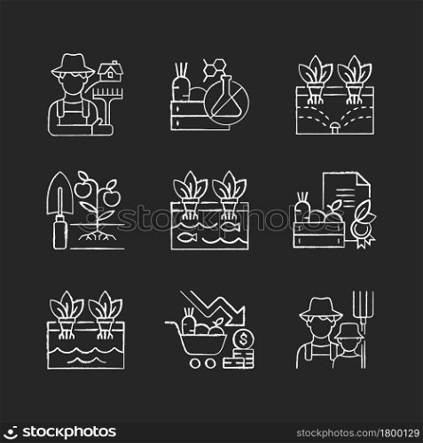 Farming chalk white icons set on dark background. Agricultural business. Rural area. Crop quality control. Innovative farm systems. Organic products. Isolated vector chalkboard illustrations on black. Farming chalk white icons set on dark background