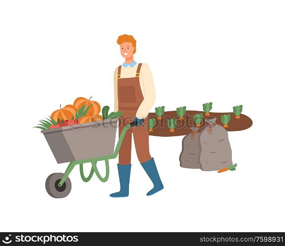 Farming man pushing wheelbarrow vector, male working on harvesting season, farmer on plantation of carrots, bags with ripe fruits and vegetables flat style. Farmer Harvesting on Field Pumpkins in Cart Vector