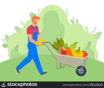 Farming man with cart vector, character wearing uniform pushing trolley with vegetables. Carrots and beetroots, tomato and pumpkins in carriage flat style. Farmer Using Carriage to Transport Vegetables