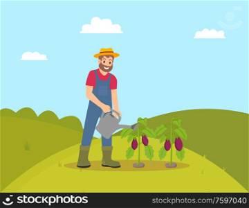 Farming man with watering can vector. Farmer growing vegetables and taking care of eggplant plantation. Hill field with greenery and clouds above. Farming Man with Watering Can Vector Illustration
