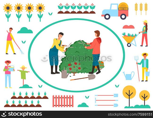Farming people vector, man and woman cutting branches of roses, scarecrow and plantation of carrots, tractor transporting harvested food sunflowers. Gardener Caring for Bushes Roses Flowers Farming