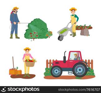 Farming people vector, man driving tractor working on land, woman holding basket filled with fruits and vegetables, male spraying bushes with liquid. Farming People Tractor Driver and Woman Harvesting