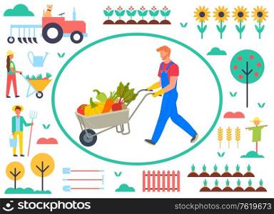 Farming people vector, man pushing cart with vegetables. Tractor and sunflower field, apple tree and fence, carrots and woman with trolley flat style. Farmer with Cart and Vegetables Tractor Sunflowers
