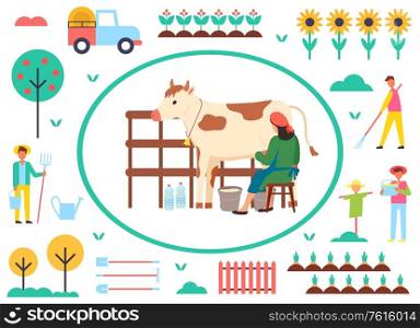 Farming people vector, woman with cow and bucket with organic liquid, milkmaid and scarecrow, trees with ripe fruits, sunflower plantation, tractor. Milkmaid with Cow in Frame Agriculture and Farming