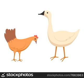 Farming vector, isolated hen and goose eating food from ground, chicken with beak and plumage, domestic agriculture and caring for pets animals flat style. Goose and Chick at Farm Vector Agriculture Farming