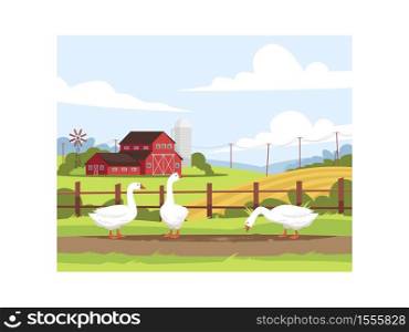 Farmland poultry semi flat vector illustration. Local production of domestic bird. Geese eating seeds on ground. American farm. Domesticated animals 2D cartoon characters for commercial use. Farmland poultry semi flat vector illustration