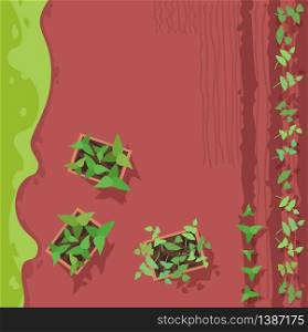 Farmland semi flat vector illustration top view. Cultivated plant growing in soil. Organic crop production. Gardening and farming. Green field 2D cartoon landscape for commercial use. Farmland semi flat vector illustration top view