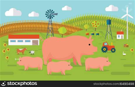 Farmyard vector illustration. Flat design. Pigs standing against the farm landscape, tractor, cow, fields on background. Organic farming concept. Traditional agriculture. Modern ecological farm. . Pigs on Farmyard Concept Illustration. . Pigs on Farmyard Concept Illustration.