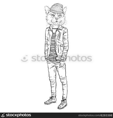 fashion illustration of cat dressed up in casual city style. fashion illustration of black cat dressed up in casual city style