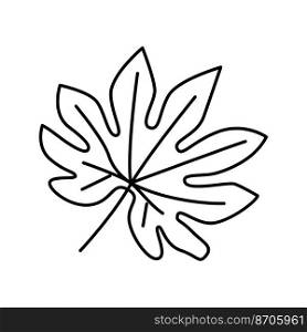fatsia japonica tropical leaf line icon vector. fatsia japonica tropical leaf sign. isolated contour symbol black illustration. fatsia japonica tropical leaf line icon vector illustration