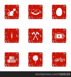 Favorite pet icons set. Grunge set of 9 favorite pet vector icons for web isolated on white background. Favorite pet icons set, grunge style