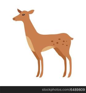 Fawn Isolated. Junior Verdant Young Spotted Deer. Fawn isolated on white. Junior verdant young brown spotted deer. Ruminant mammals forming family Cervidae. Little inexperienced fawn in its first year. Cartoon illustration. Herbivore creature. Vector
