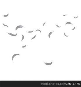 feather blowing wind background illustration vector template design