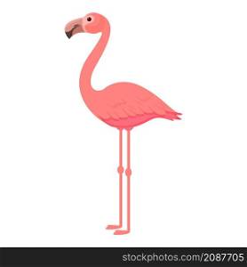Feather flamingo icon cartoon vector. Summer flamingo. Cute pink bird. Feather flamingo icon cartoon vector. Summer flamingo