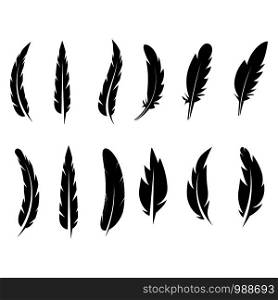 feather icon Vector Illustration design Logo template