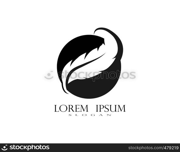 feather logo vector template
