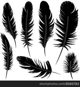 Feather of bird set vector image