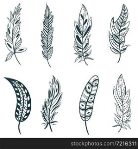 Feather set hand graphics, vector illustration. Collection of various decorated feathers. Bundle black outline feathers, sketch.. Feather set hand graphics, vector illustration.