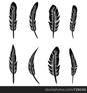 Feather Silhouette Collection Isolated on White Background. Feather Silhouette Collection