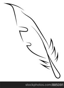 Feather sketch, illustration, vector on white background.