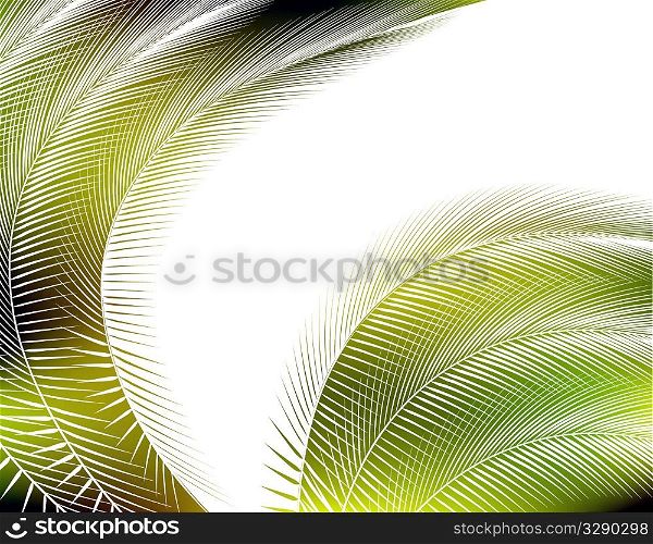 Feathered background