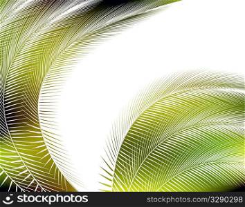 Feathered background