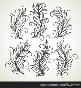 Feathers leaves. Hand drawn vector illustration. EPS 10. Feathers leaves. Hand drawn illustration