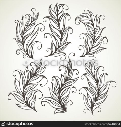 Feathers leaves. Hand drawn vector illustration. EPS 10. Feathers leaves. Hand drawn illustration