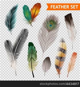 Feathers Realistic Set. Bird feathers realistic set on transparent background isolated vector illustration