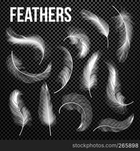 Feathers Set Vector. Different Falling White Fluffy Twirled Feathers. Feather Bird, Soft White Plume Design. Insomnia, Healthy Sleep, Dreams Concept. Transparent Realistic Illustration. Feathers Set Vector. Different Falling White Fluffy Twirled Feathers. Feather Bird, Soft White Plume Design. Insomnia, Healthy Sleep, Dreams Concept. Isolated Transparent Realistic Illustration