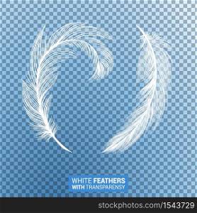 Feathers, white fluffy isolated falling plumes with transparent effect on blue background. Realistic 3D goose bird feathers quills with fluff plumage texture, flying and falling abstract shapes design. White fluffy feathers realistic transparent effect