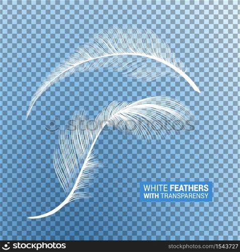 Feathers, white fluffy isolated falling plumes with transparent effect on blue transparent background. Realistic goose bird feather quills with fluff plumage, flying and falling. White fluffy feathers realistic transparent effect