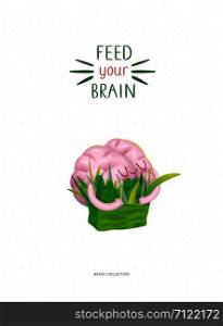 Feed your brain poster - the vector cartoon illustration of enjoining brain hugging a bag of greens with writing. Part of a Brain collection.. Feed your brain poster with lettering