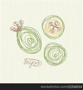 Feijoa fruit. Hand drawn vector illustration. Pen or marker doodle sketch. Feijoa fruit. Hand drawn vector illustration. Pen or marker doodle sketch.