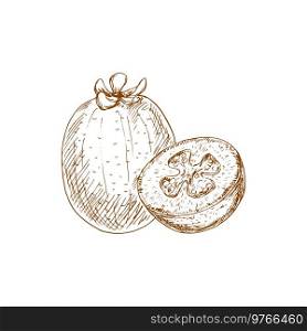 Feijoa isolated exotic brazilian fruit sketch. Vector pineapple guava or guavasteen, tropical food. Guavasteen or feijoa isolated exotic fruit sketch