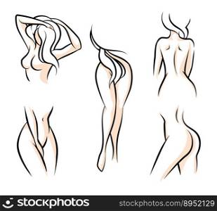 Female body parts vector image