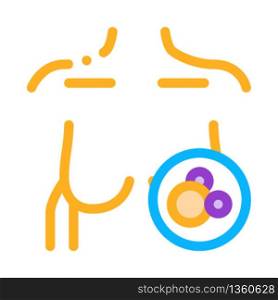 female breast icon vector. female breast sign. color symbol illustration. female breast icon vector outline illustration